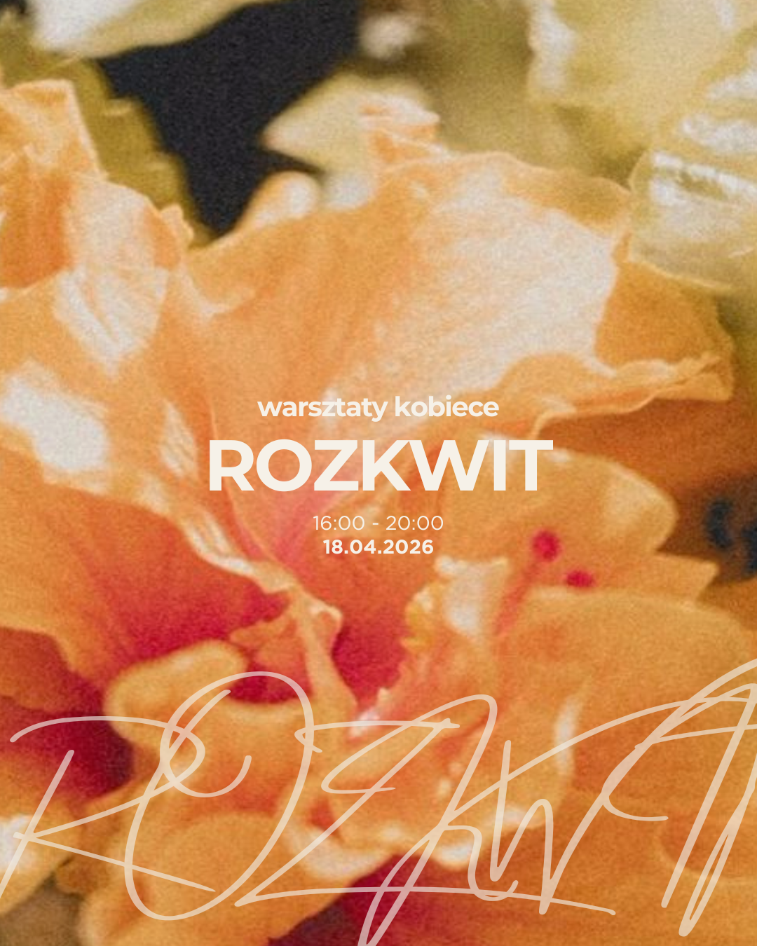 651916745_2127633377640546_3589868349764767305_n